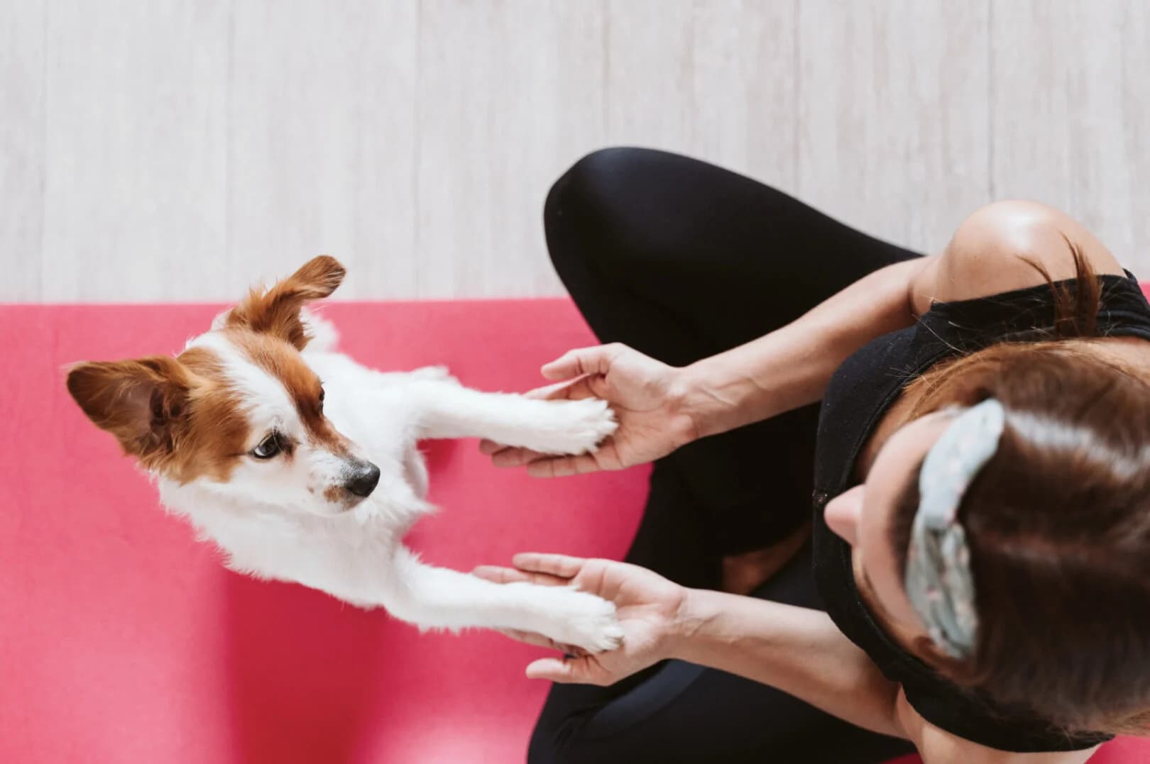 Puppy Pilates Pop-Up Class – Tennova Y