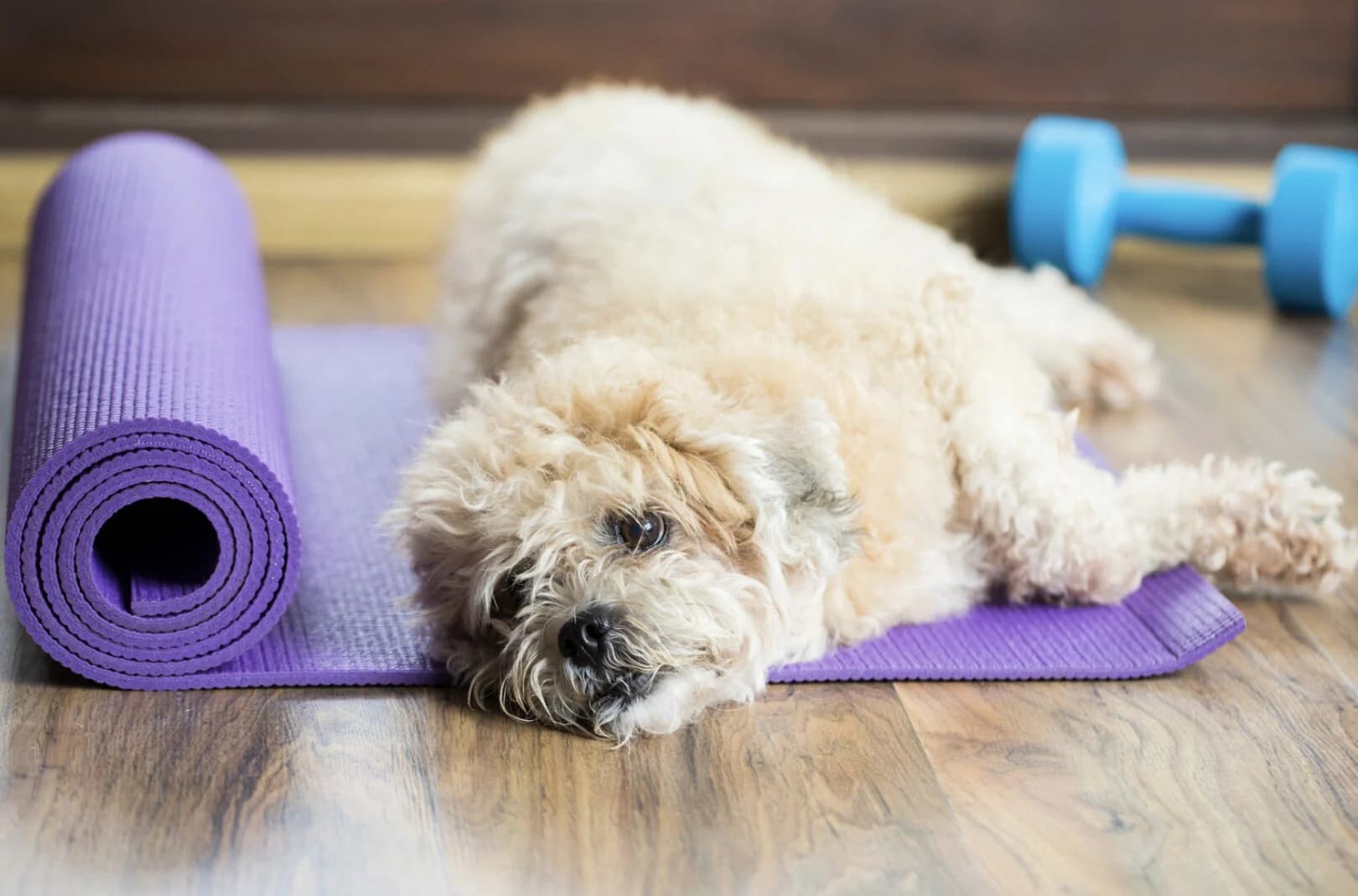 First supporting image